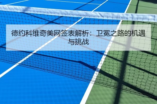 德约科维奇美网签表解析：卫冕之路的机遇与挑战