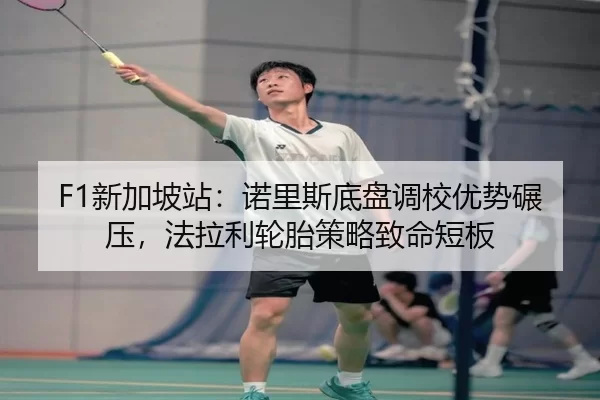 xin-jia-po-zhan-nuo-li-si-di-pan-diao-xiao-you-shi-nian-ya-fa-la-li-lun-tai-ce-lve-zhi-ming-duan-ban-2-602.jpg