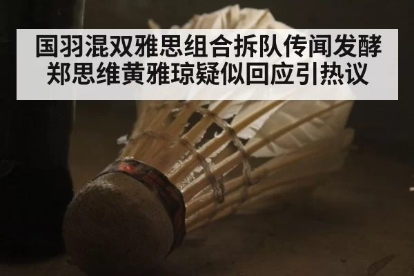 国羽混双雅思组合拆队传闻发酵 郑思维黄雅琼疑似回应引热议