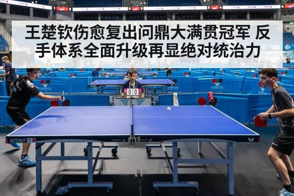王楚钦伤愈复出问鼎大满贯冠军 反手体系全面升级再显绝对统治力